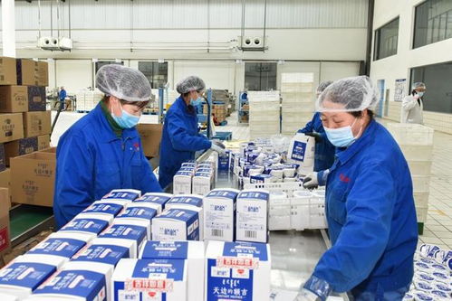 内蒙古乌兰察布 一杯酸奶为产业发展添动能