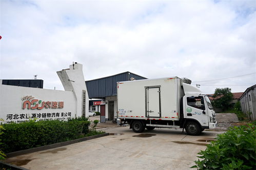 抢鲜进京 河北净菜变身北京市民餐桌上的好菜